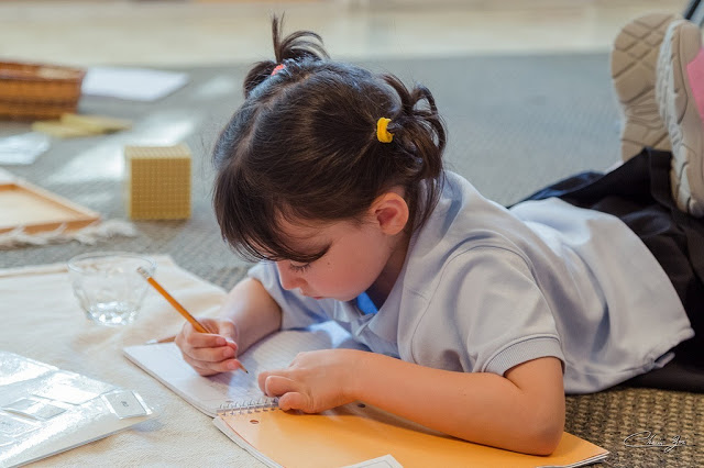The 90-Page Montessori Organizer! The 90-Page Montessori Organizer!
